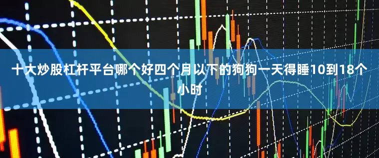 十大炒股杠杆平台哪个好四个月以下的狗狗一天得睡10到18个小时
