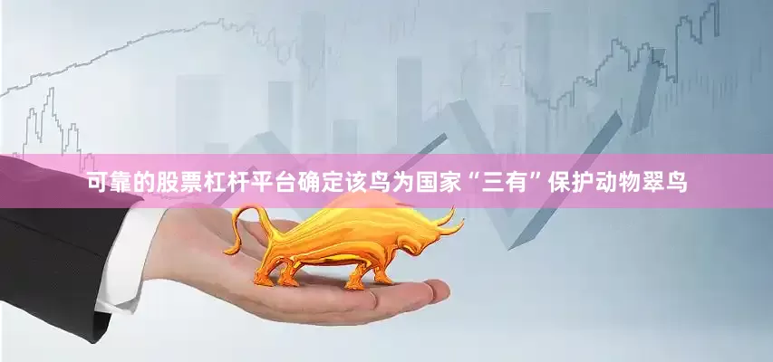 可靠的股票杠杆平台确定该鸟为国家“三有”保护动物翠鸟
