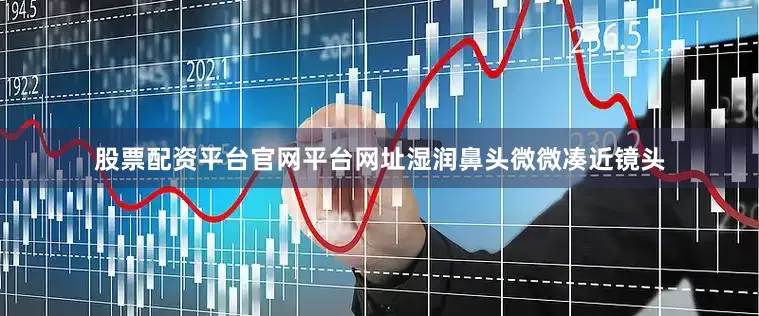 股票配资平台官网平台网址湿润鼻头微微凑近镜头