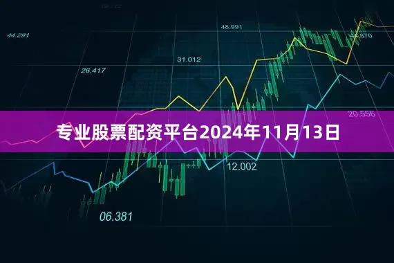 专业股票配资平台2024年11月13日