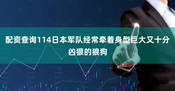 配资查询114日本军队经常牵着身型巨大又十分凶狠的狼狗